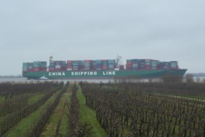 CSCL Indian Ocean - Apfelplantage